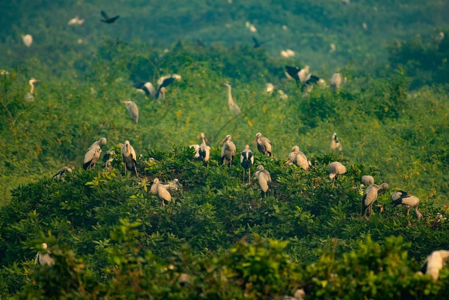 Therthangal Bird Sanctuary